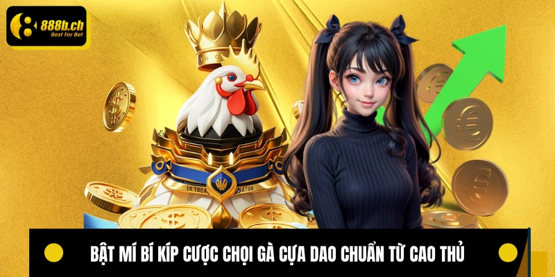 Bật mí bí kíp cược chọi gà cựa dao chuẩn từ cao thủ