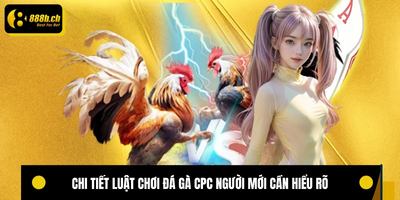 Chi tiết luật chơi đá gà CPC người mới cần hiểu rõ