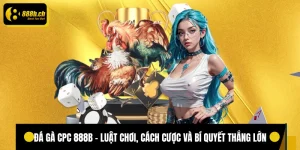 Đá gà cpc 888B