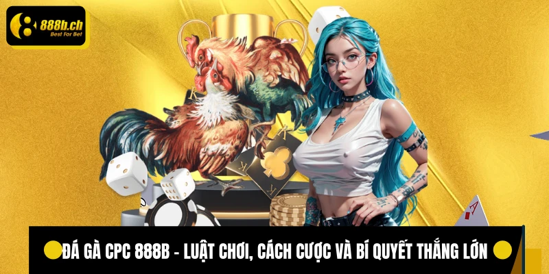 Đá gà cpc 888B