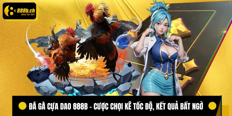 Đá gà cựa dao