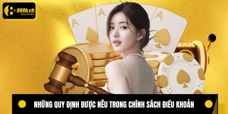 Những quy định được nêu trong chính sách điều khoản